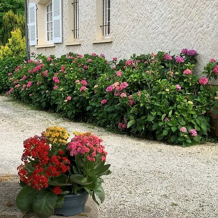 Villa Propriete De Reve Perigord